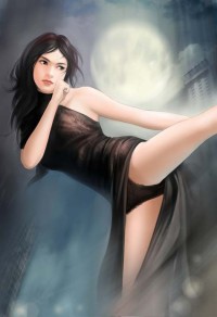 叶辰风流